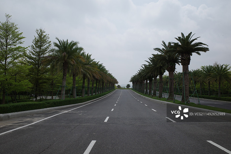 厦门岛街景图片素材