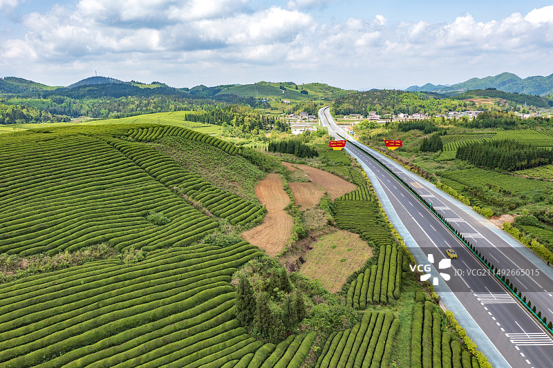 贵州黔南瓮安县茶山图片素材