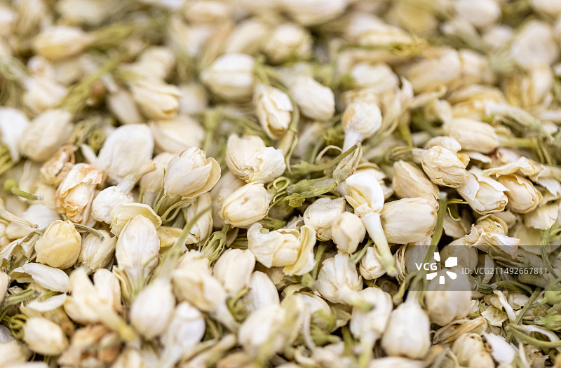 茉莉花 中药图片素材