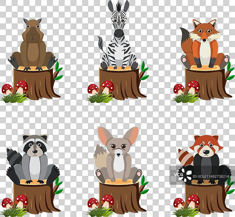 坐在树桩上的野生动物图片素材