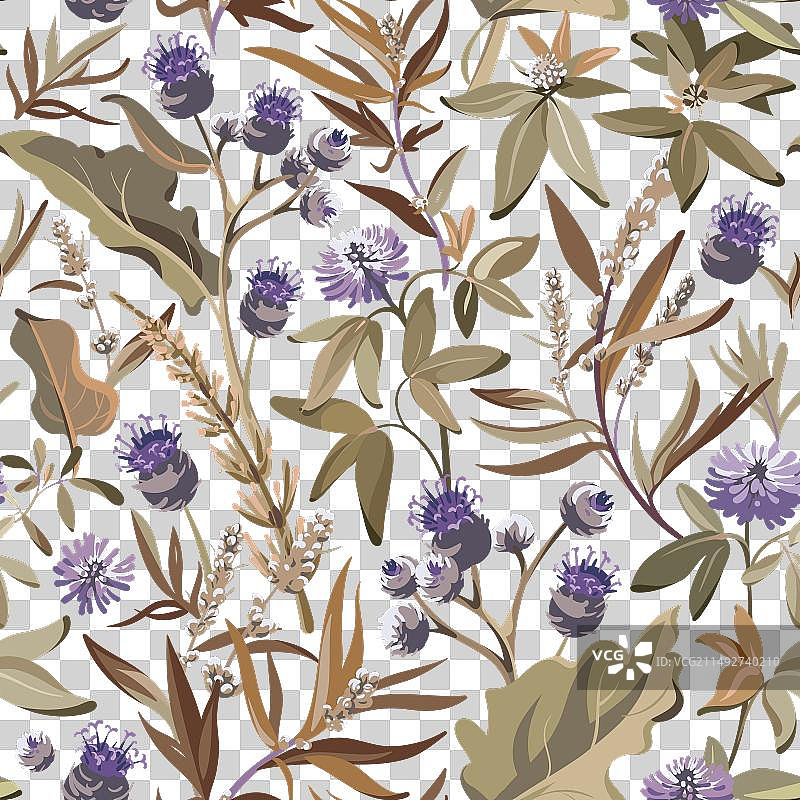 牛蒡三叶草花卉无缝图案图片素材