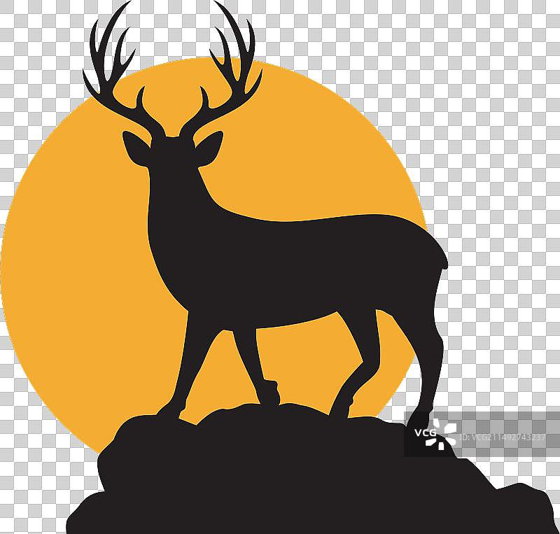 日落时分的鹿剪影图片素材