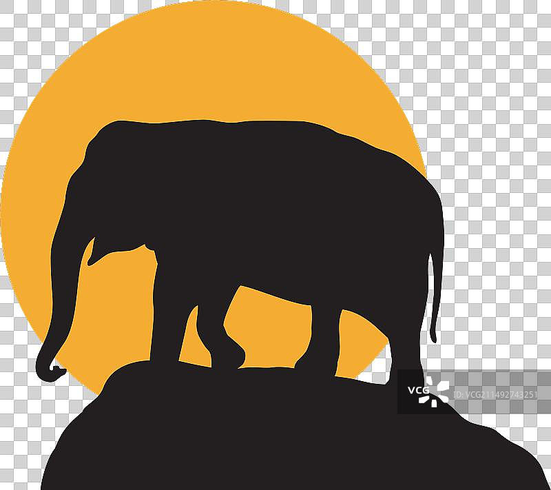 日落时分的大象剪影图片素材