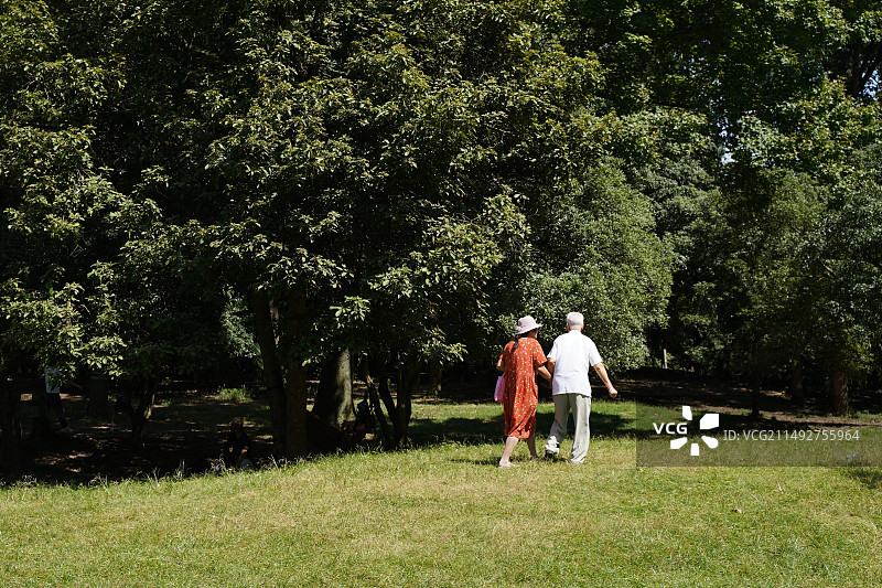 在树林里散步的老人们大自然养老图片素材