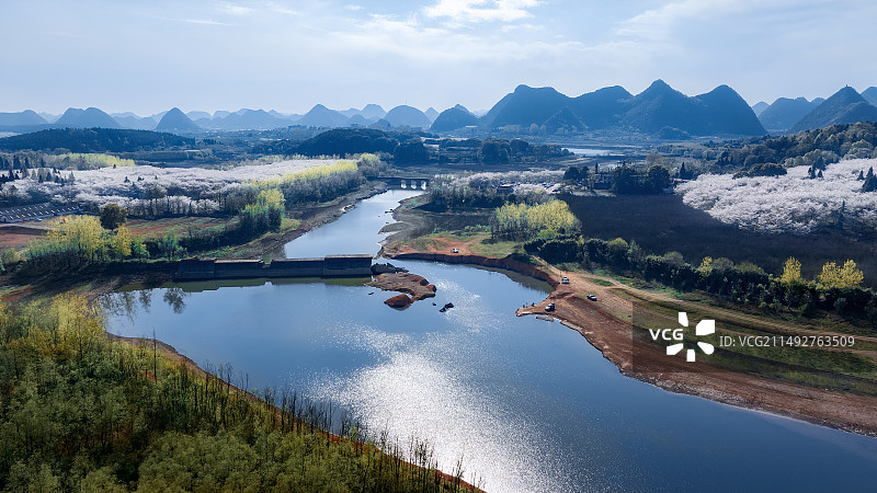 红枫湖樱花园图片素材