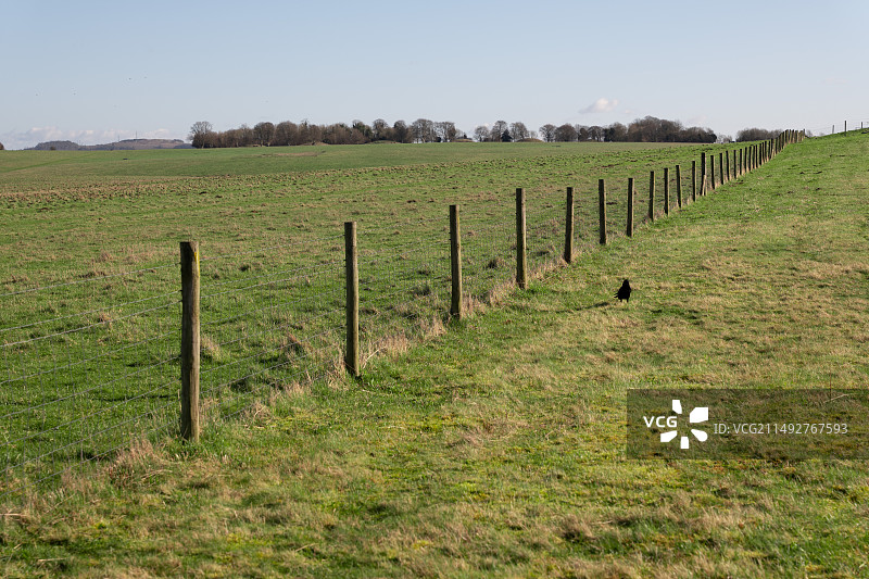 巨石阵Stonehenge草坪与篱笆图片素材