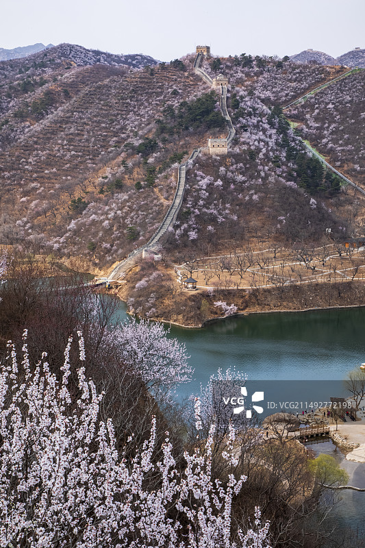 北京怀柔黄花城水长城山色桃花别样红图片素材