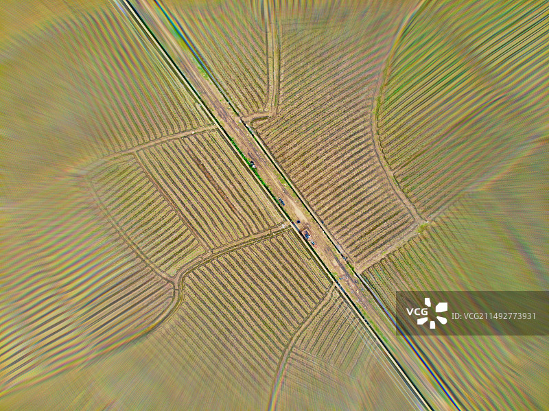 初耕之春图片素材