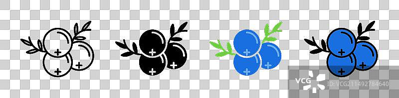 杜松子浆果蓝莓图标集图片素材