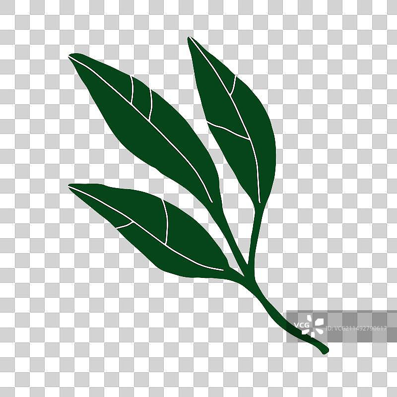 手绘叶子植物涂鸦图片素材