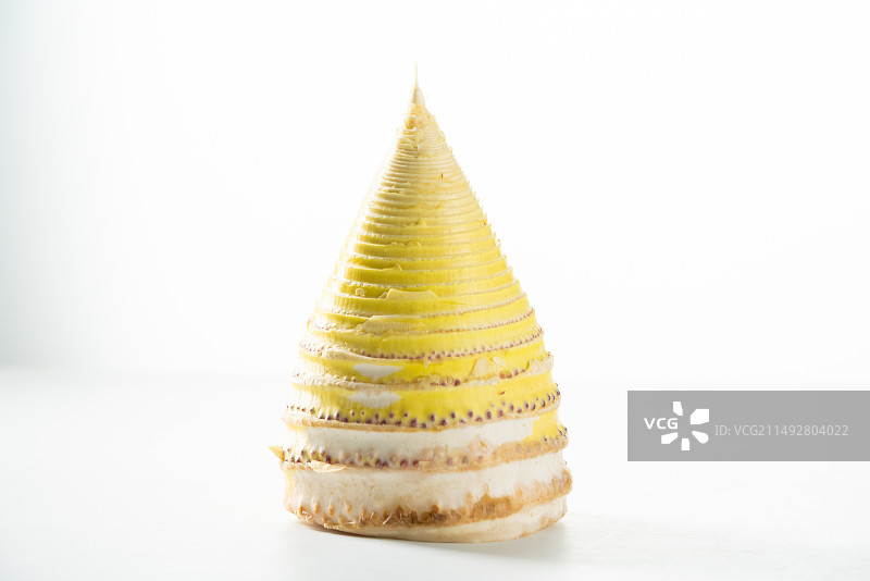 新鲜竹笋图片素材