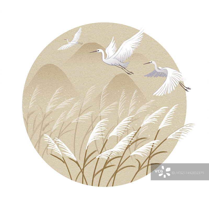 河边芦苇白鹭圆形背景图片素材