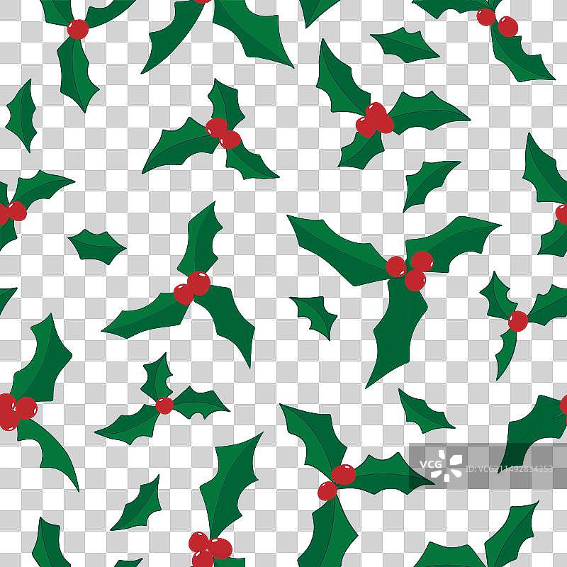 薄荷绿上的冬青红果图片素材