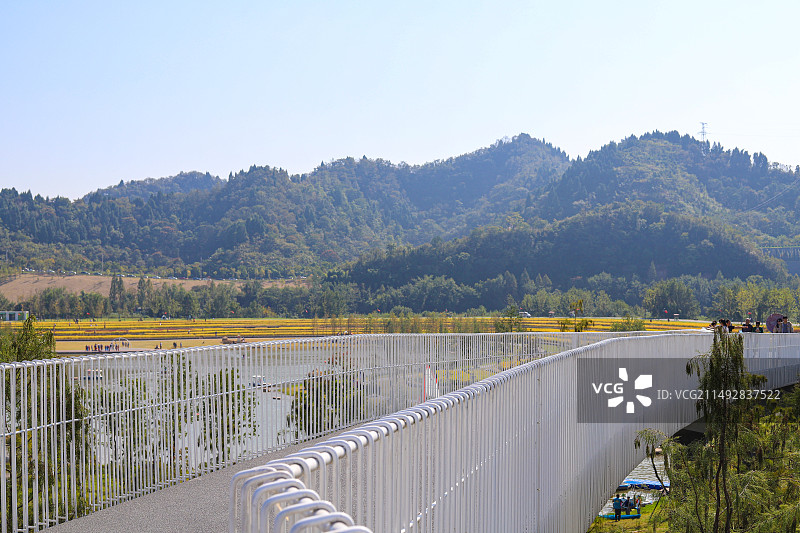 宜昌点军区卷桥河湿地公园 网红公园 春游 露营图片素材