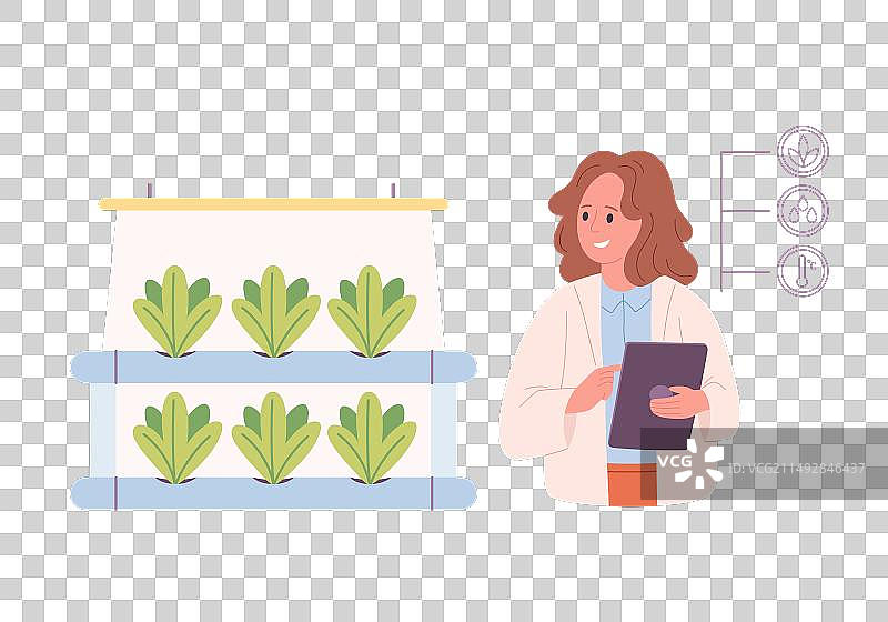 用于植物生长的水培技术图片素材