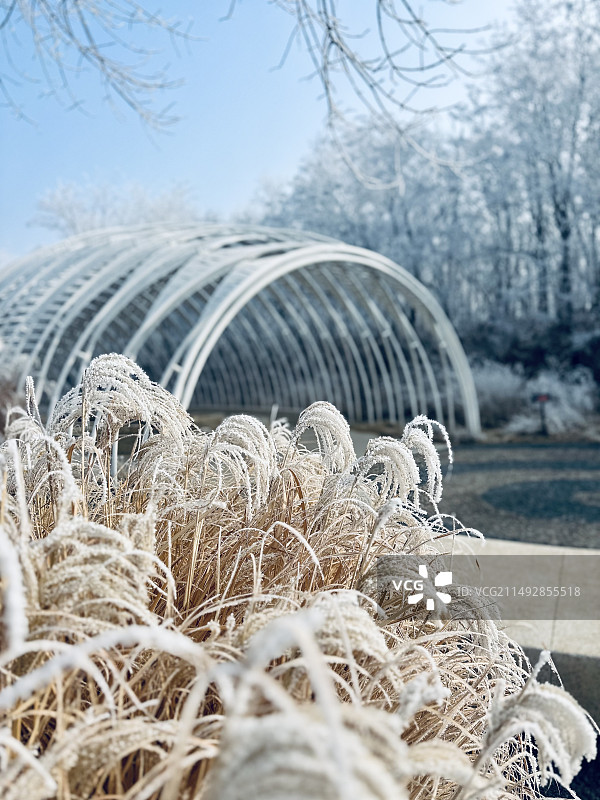 阿那亚·雾凇图片素材