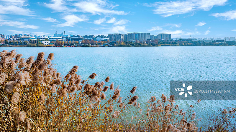 暖冬后湖图片素材