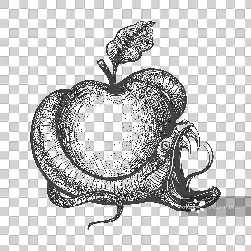 蛇缠绕苹果雕刻纹身图片素材