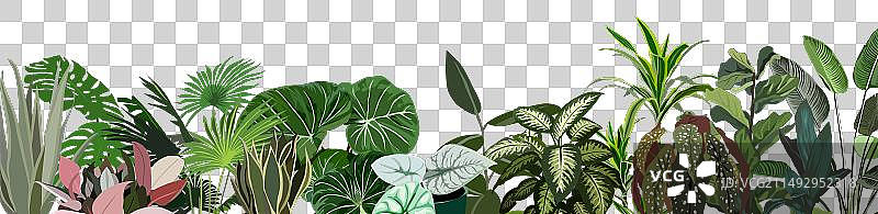 室内植物与热带叶子边框背景图片素材