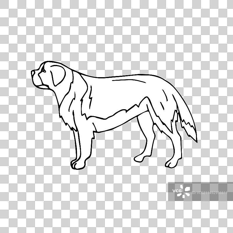 手绘涂鸦圣伯纳德犬图片素材