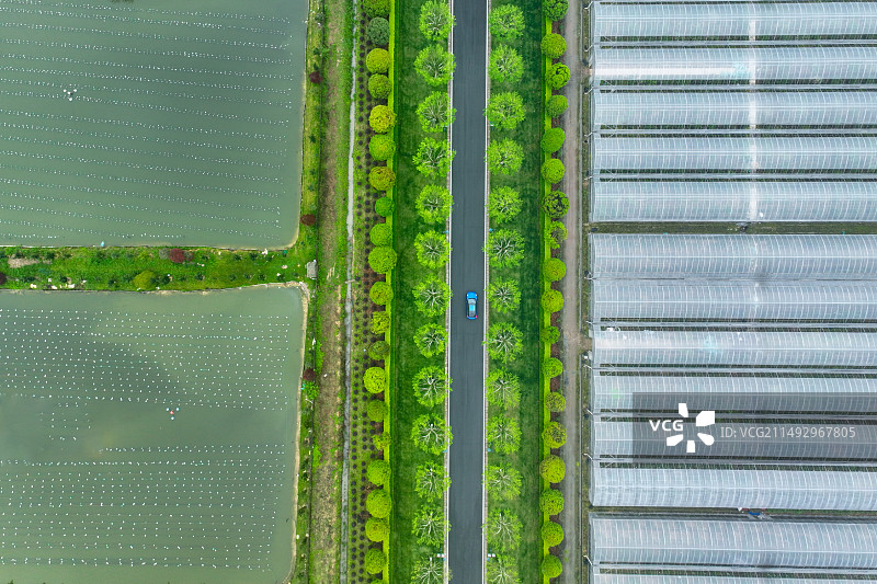 俯拍下的公路与大棚图片素材