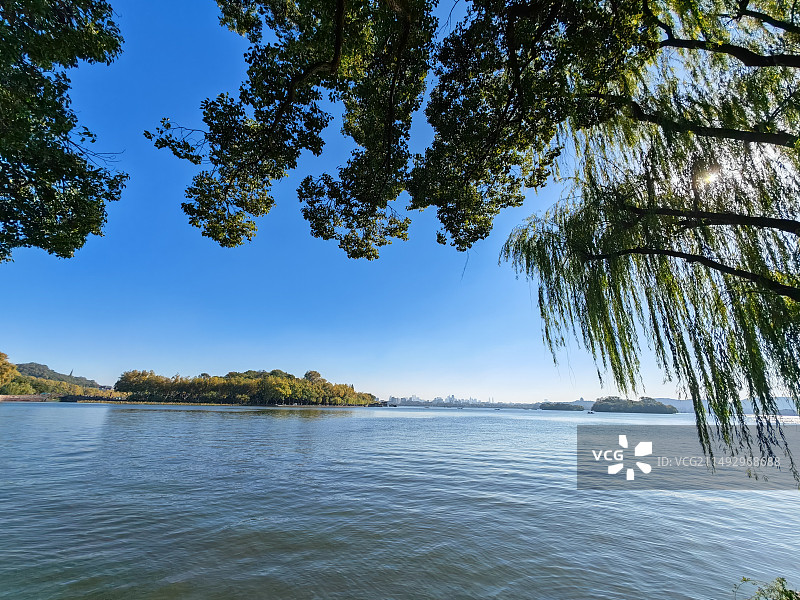 苏堤，湖边的树顶着天空图片素材