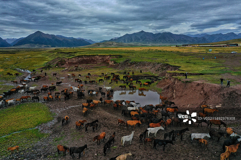 山丹军马场图片素材