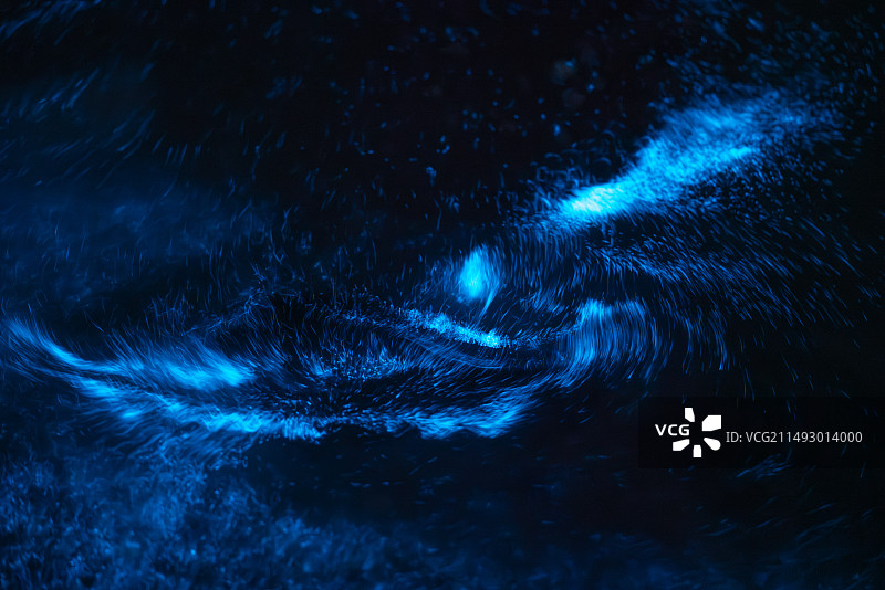 大连荧光海特写图片素材