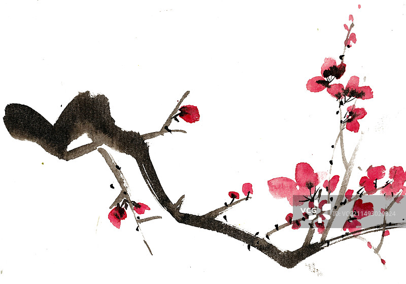 红色的梅花图片素材