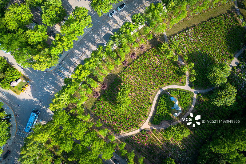 航拍西北大学图片素材