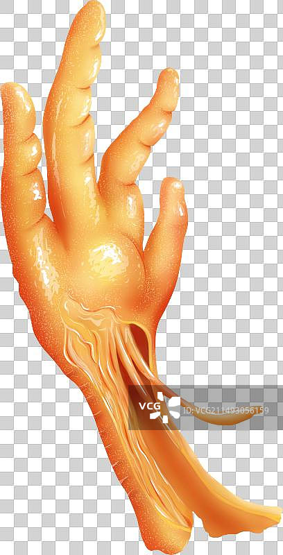 一只无骨鸡爪图片素材