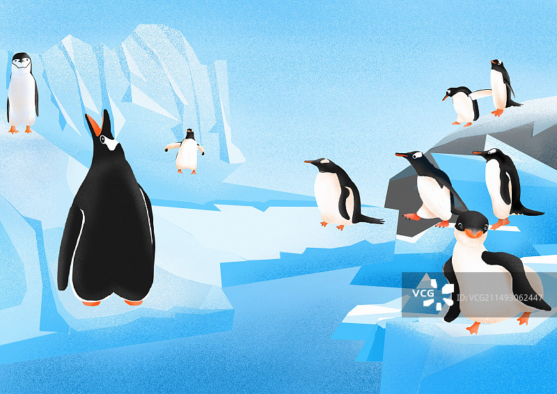企鹅群插图图片素材