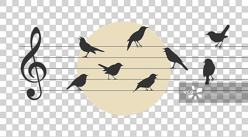 带有鸟类的乐谱图片素材