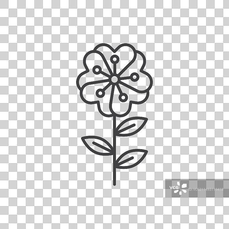 野生玫瑰图标集：玫瑰果、花瓣、健康图片素材