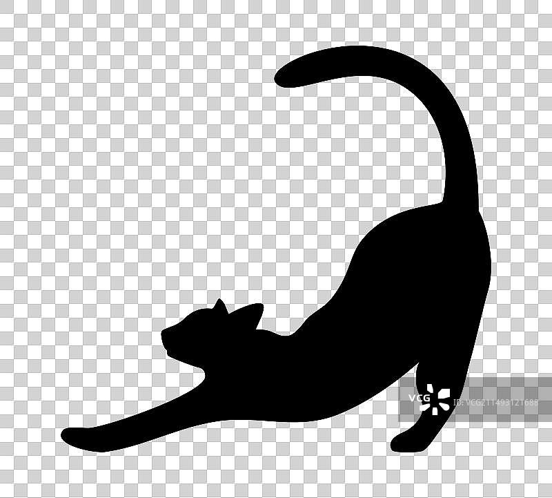 伸展猫的黑色剪影图片素材