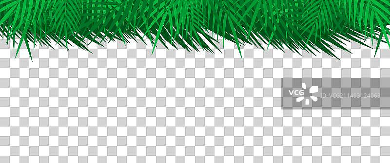 扁平风格的热带棕榈树叶框架图片素材