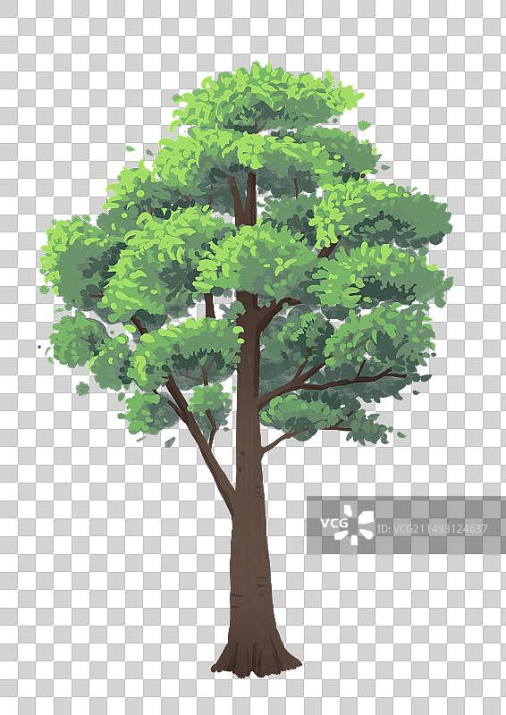 手绘一棵绿色大树png插画素材图片素材