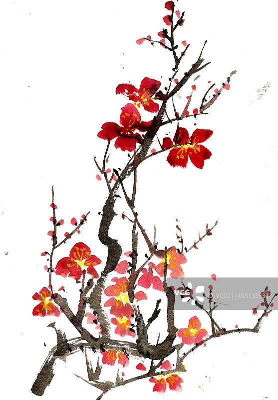 红色的梅花图片素材
