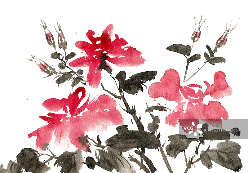 红色的月季花图片素材