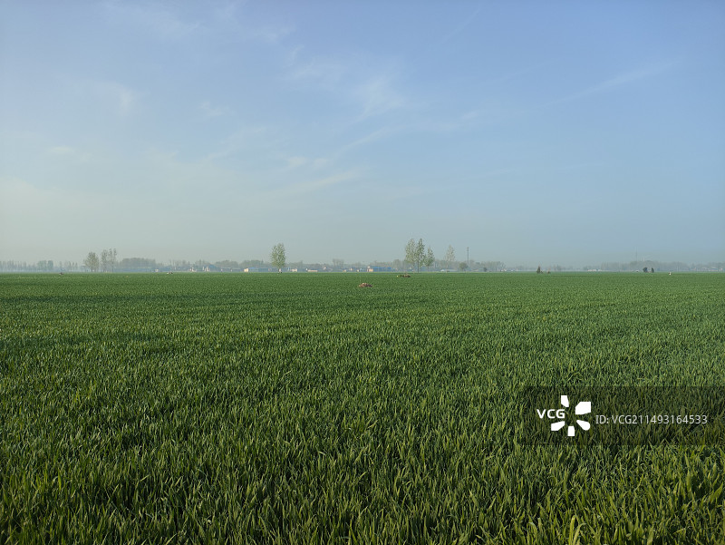 农业田顶天景观图片素材