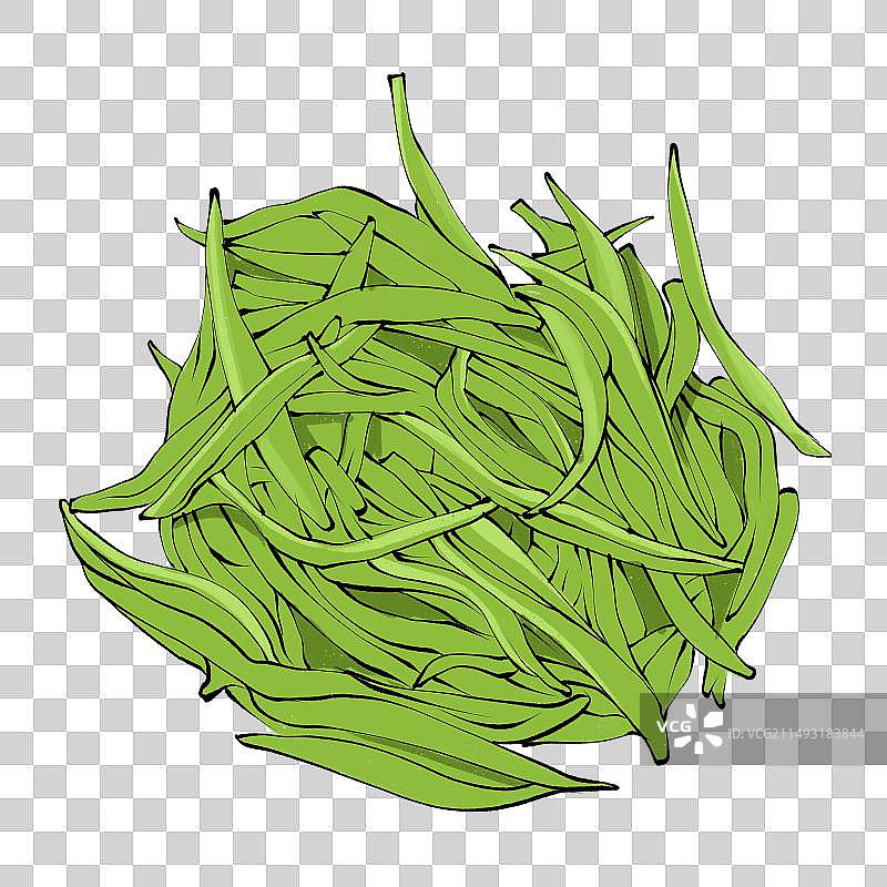 贵州都匀毛尖土特产绿茶茶叶手绘插画图片素材