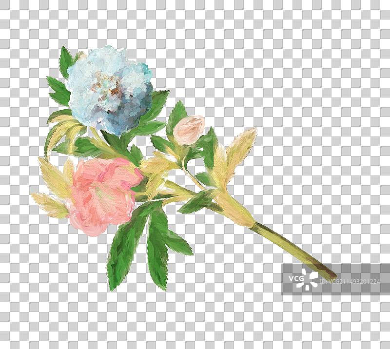 花朵素材油画肌理花朵图片素材