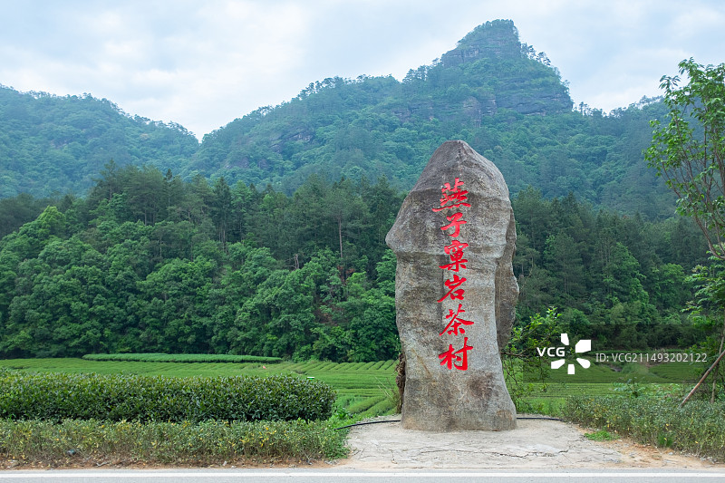 武夷山燕子窠虎啸岩倒水坑牛栏坑岩茶种植山场图片素材