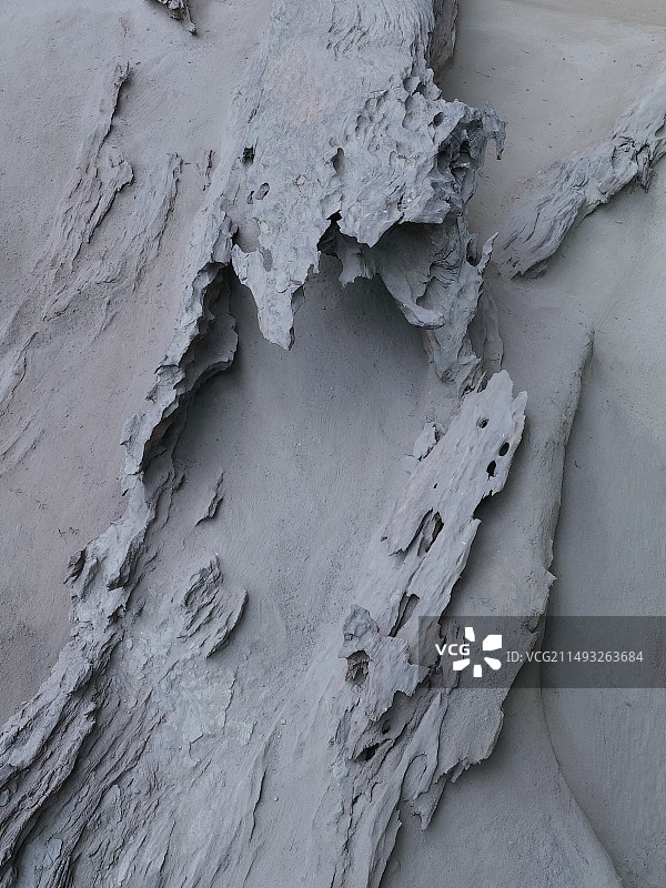 金沙遗址博物馆——乌木图片素材