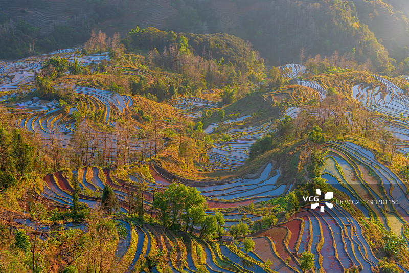 云南省红河州元阳县老虎嘴梯田景区图片素材