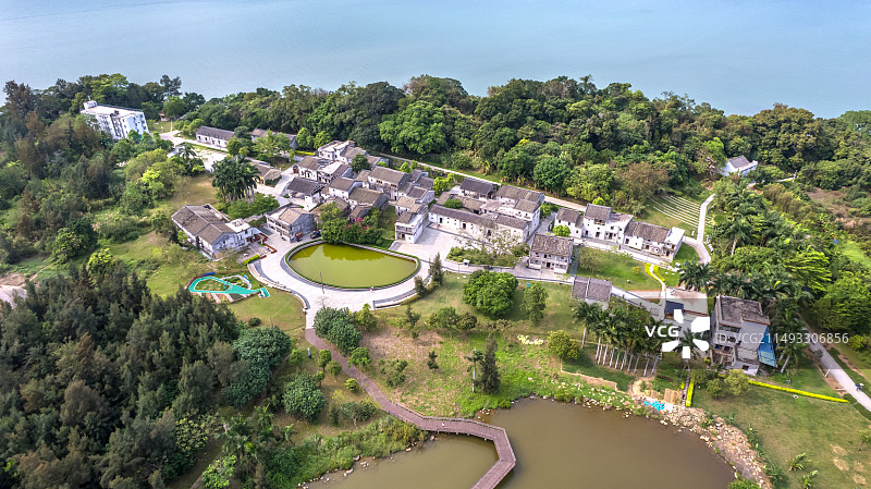 深圳坝光银叶树湿地园图片素材