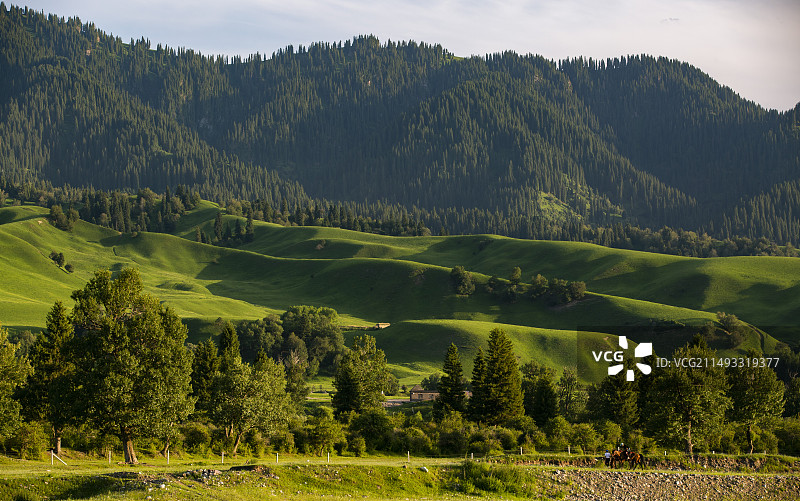 新疆那拉提草原图片素材