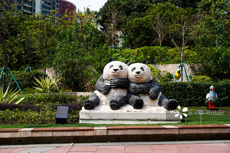 澳门大熊猫馆图片素材