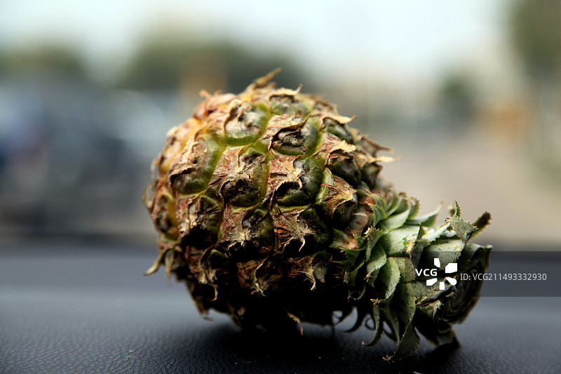 广东中山神湾菠萝图片素材