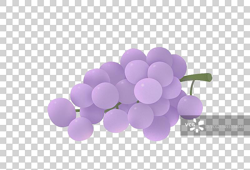 一串新鲜的紫色葡萄包装手绘插画图片素材